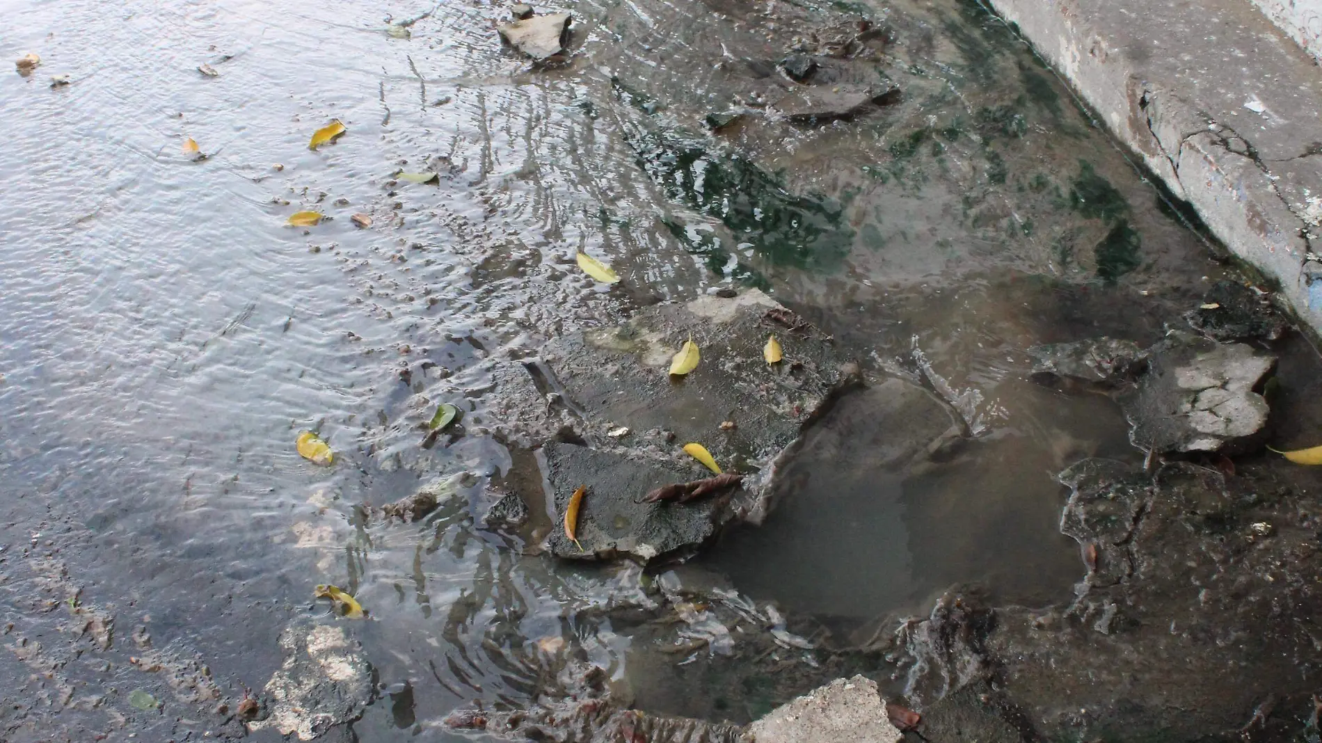 Fuga de aguas negras en Veracruz